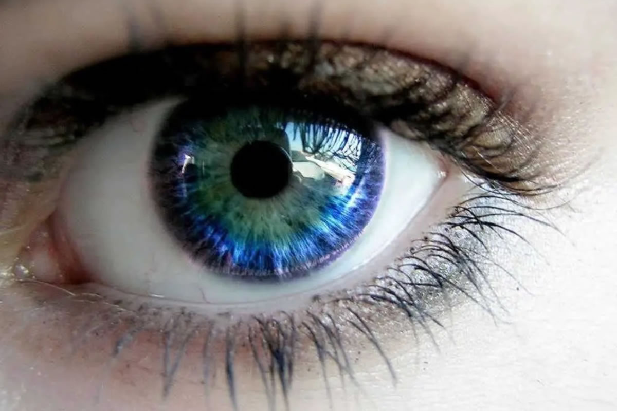 Ojos azules